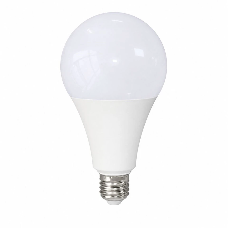 A95 Standard LED Globe Bulb