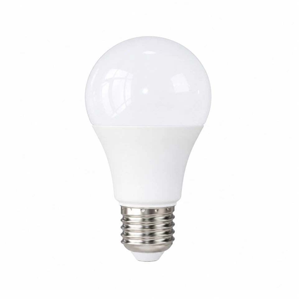 Clear Round Light Bulbs