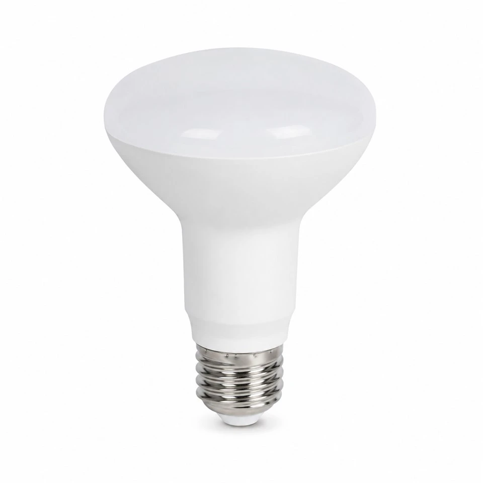 LED Spotlight Globes