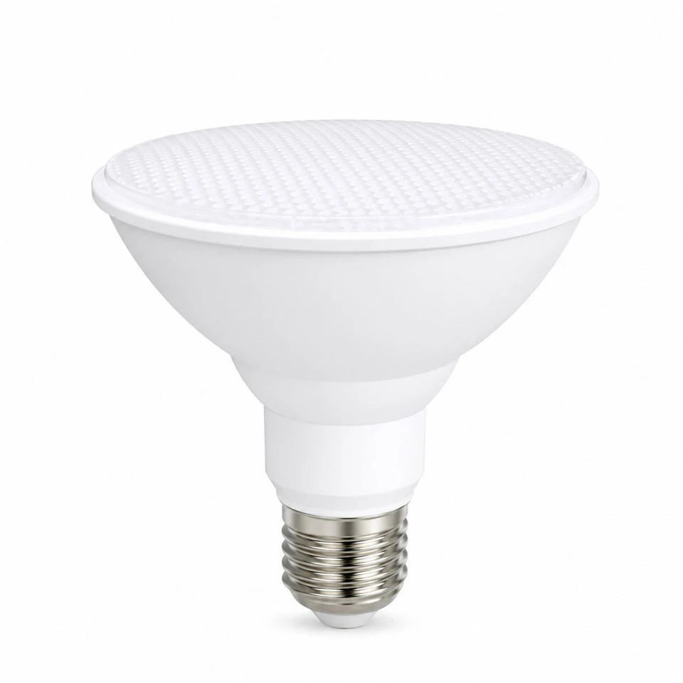 PAR30 LED Spotlight