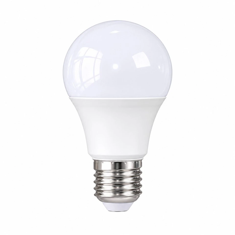 Round Globe Light Bulbs