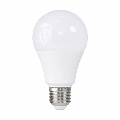 A70 LED Bulb