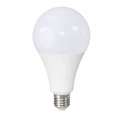 A95 Standard LED Globe Bulb
