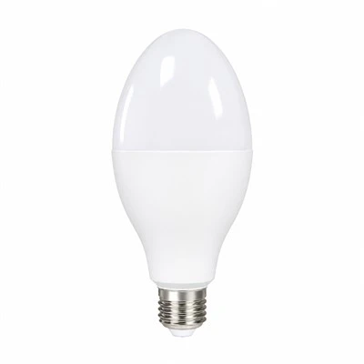 Olive LED Bulb
