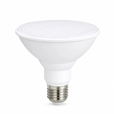 PAR30 LED Spotlight
