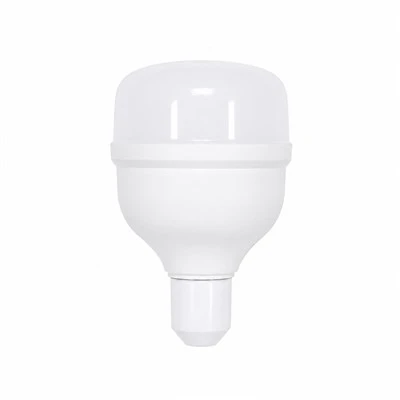 Warehouse High Power T Lamp