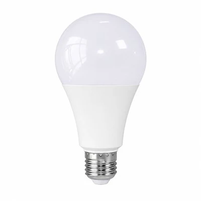 White Globe Light Bulbs